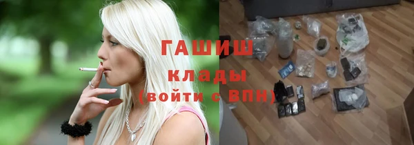 стаф Алзамай
