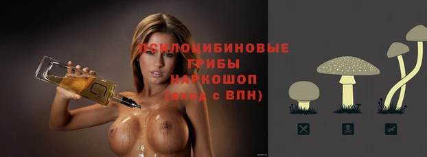 spice Слюдянка