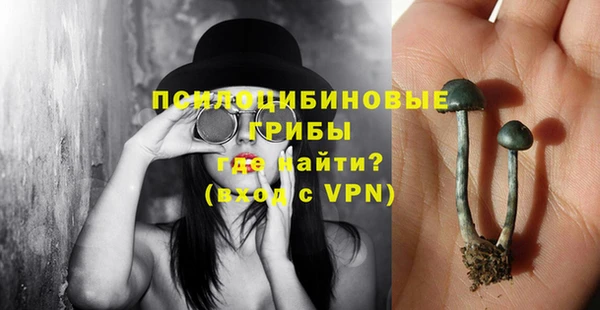 ешки Алексеевка