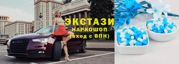 стаф Алзамай