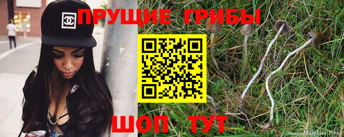 Амфетамин Большой Камень