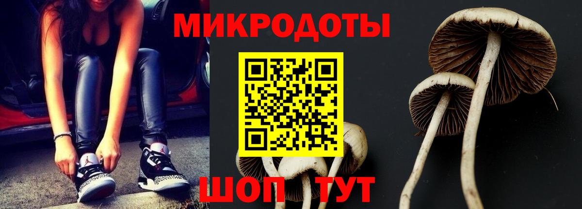 Галлюциногенные грибы ЛСД  Вход с VPN  Большой Камень 