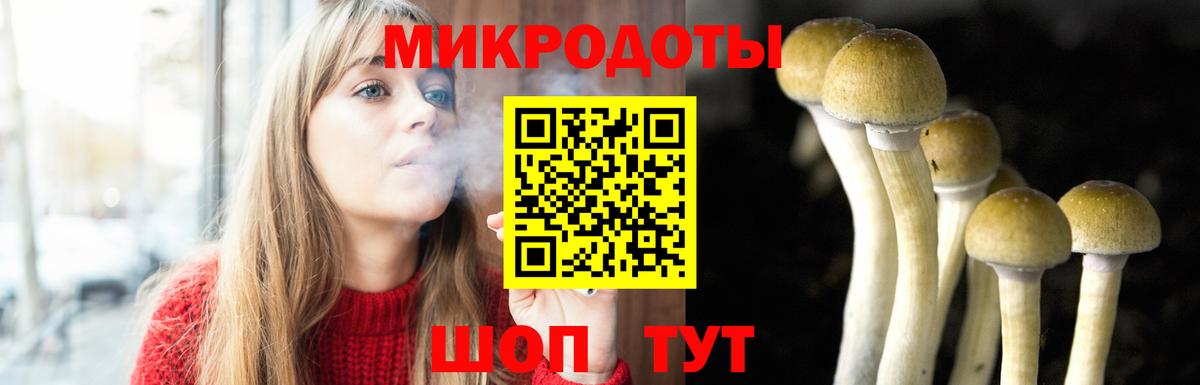 Псилоцибиновые грибы Psilocybine cubensis Большой Камень