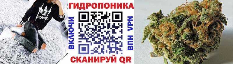 Каннабис планчик  Большой Камень 