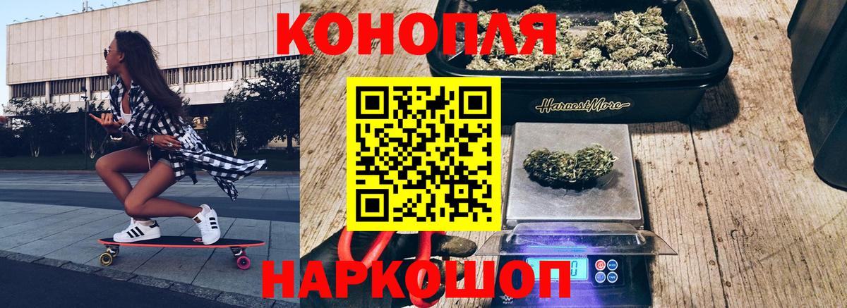 Канабис сатива Большой Камень